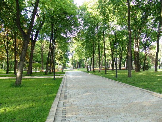 Городской парк Киев