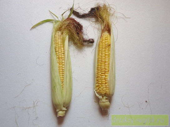 поделки из кукурузы 2